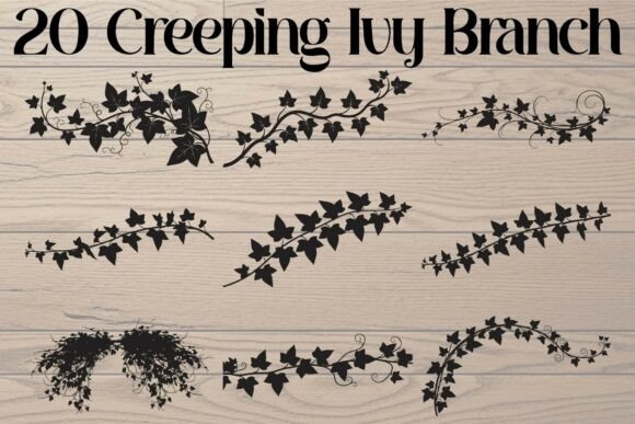Creeping Ivy Branch Silhouette: Graphics for Crafts